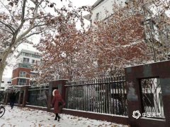 山东多地出现降雪，淄博