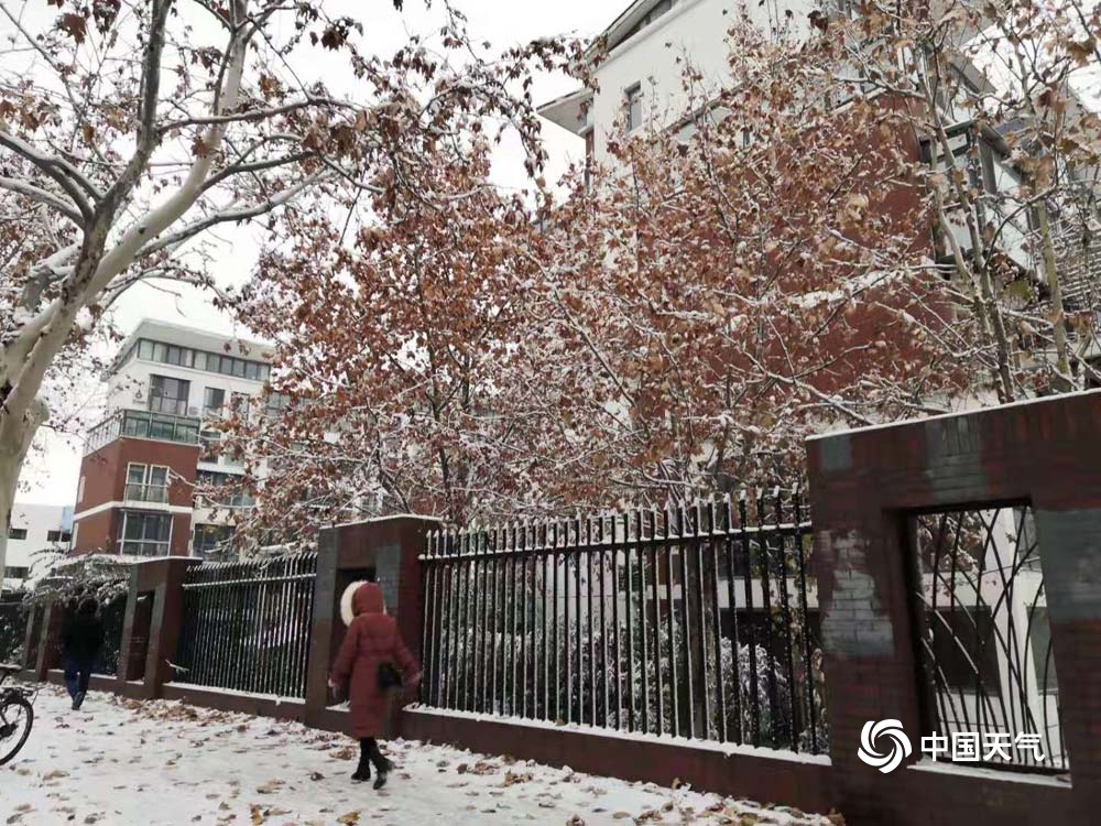 山东多地降雪 淄博潍坊日照现暴雪