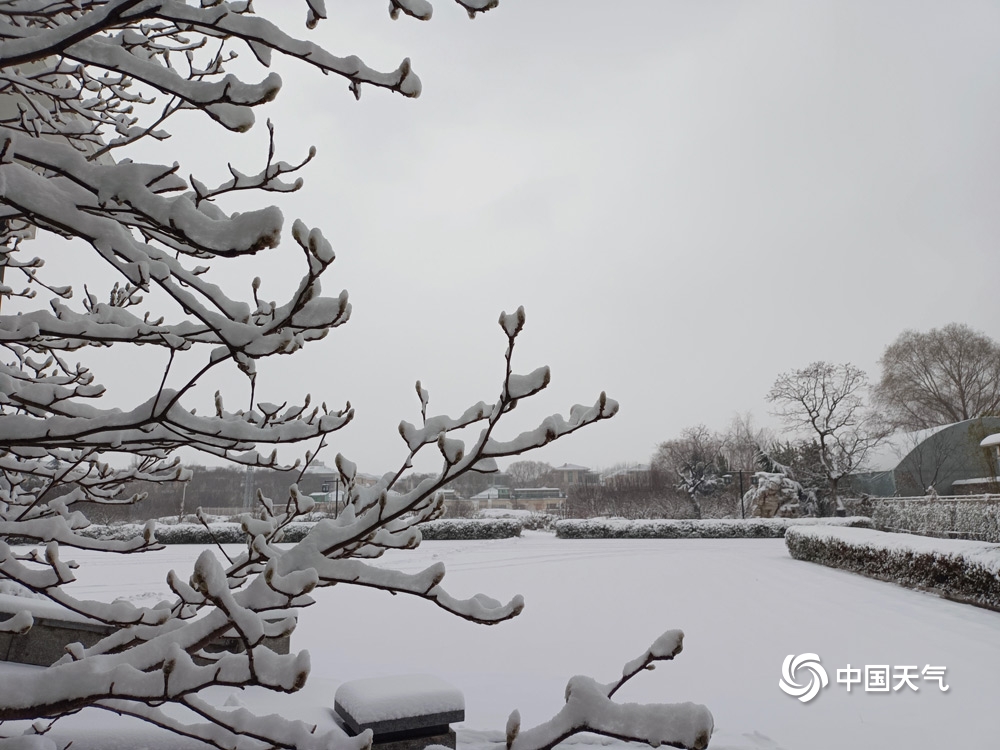 山东多地降雪 淄博潍坊日照现暴雪