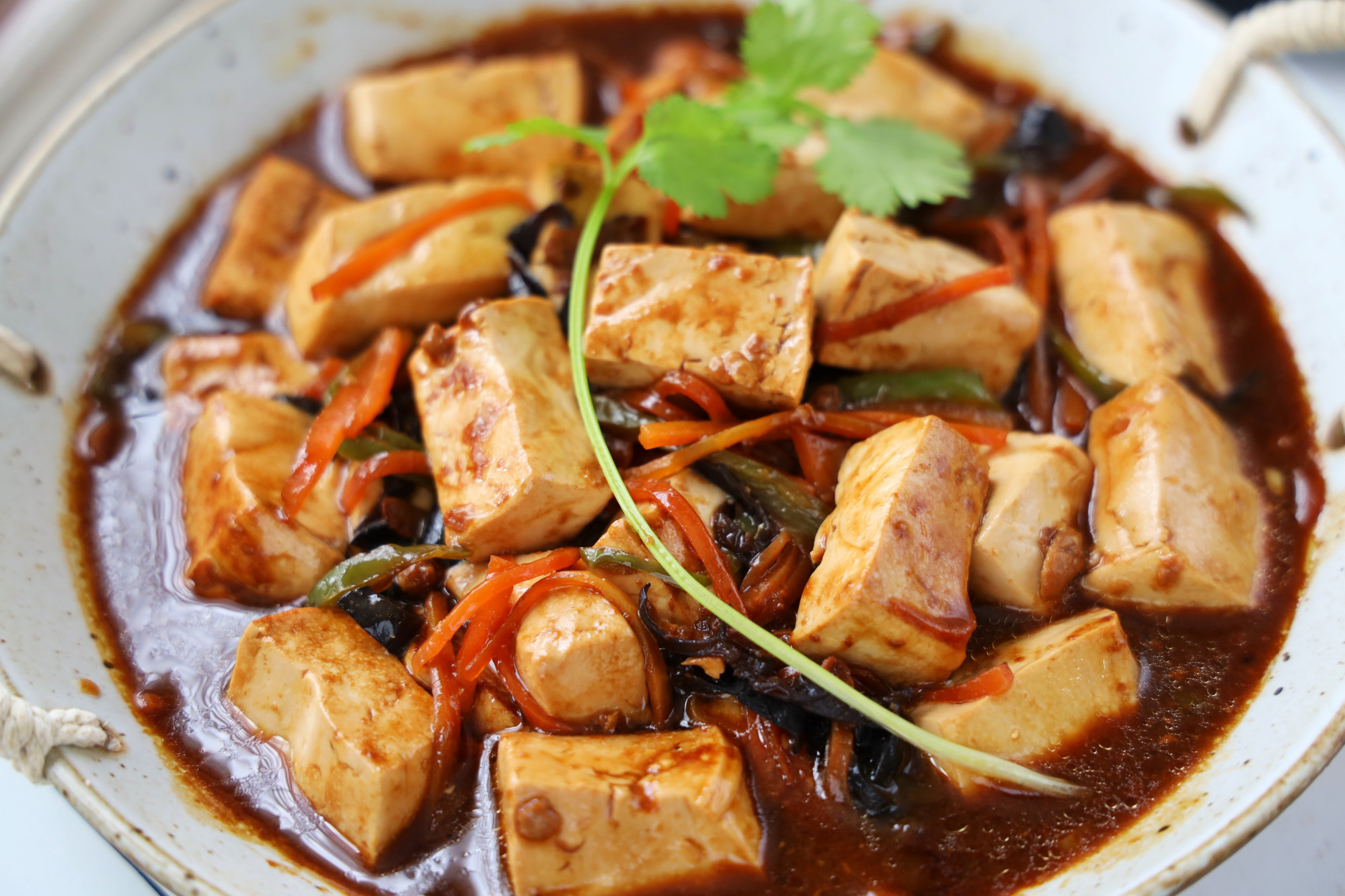 比肉还好吃的豆腐做法,鲜香入味儿,汤汁多超下饭,每周必做一次
