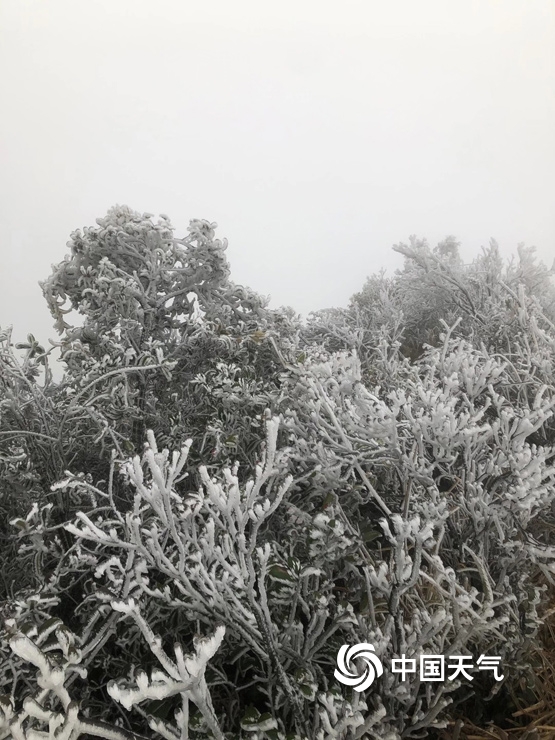 受寒潮影响 广东北部出现霜冻天气