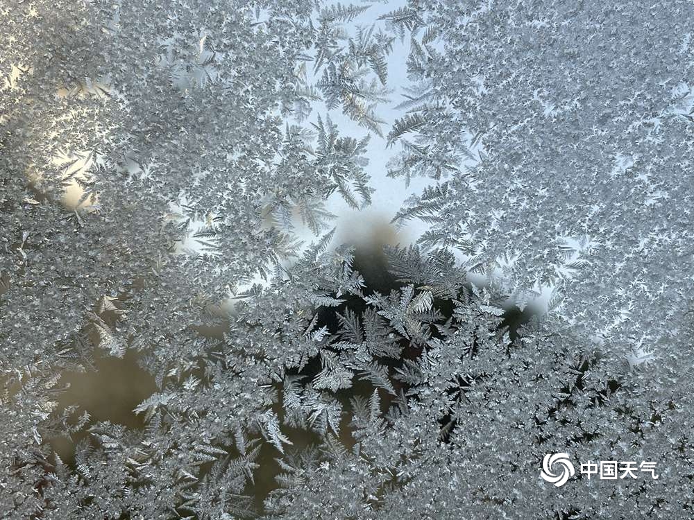 寒潮“速冻”江西 今晨多地现冰霜