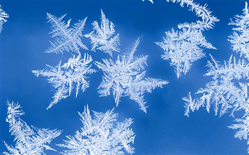 -44.1℃!到底多冷才能称得上是极寒天气?