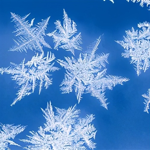 -44.1℃!到底多冷才能称得上是极寒天气?