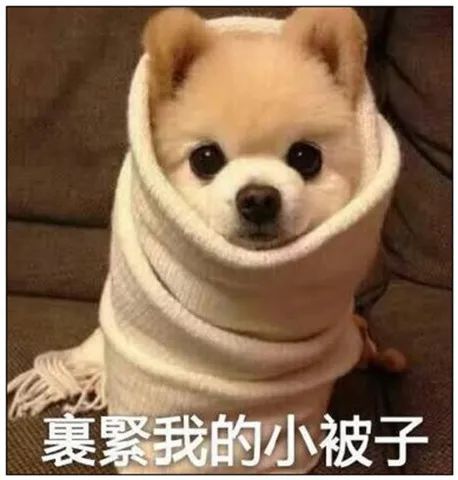 「天气」排名第四!银川“冷”上了全国榜单