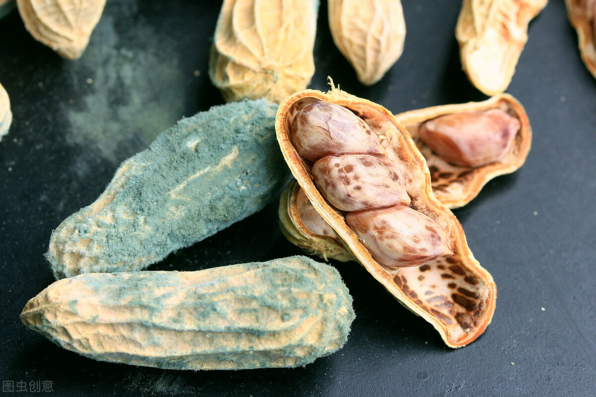 腐败的食物不能吃?这3种食品“腐败”后再吃,美味又不失营养
