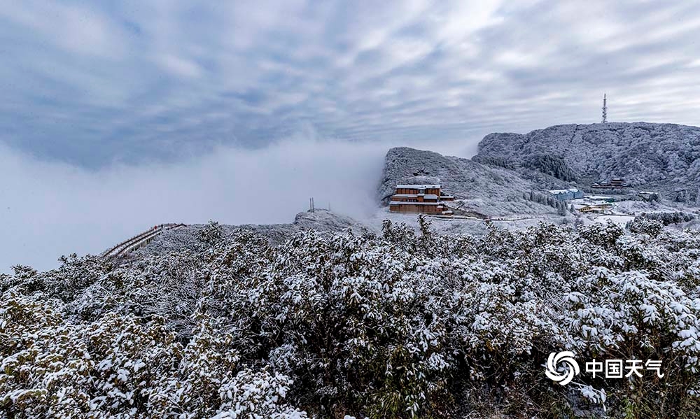 元旦雪后初晴 重庆金佛山八面山美如仙境