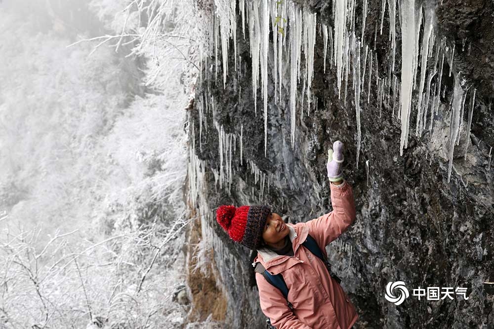 元旦雪后初晴 重庆金佛山八面山美如仙境