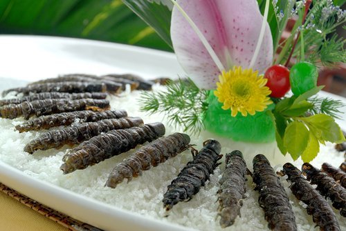四川美食大合集,一城一个代表菜!看看你家乡代表的是啥?