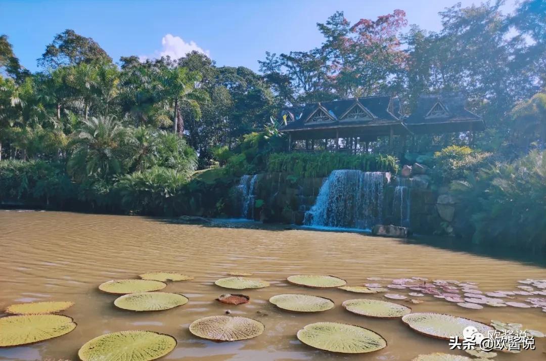说走就走的旅行,真的适合你吗?踏入未知的旅途,你必须知道这些