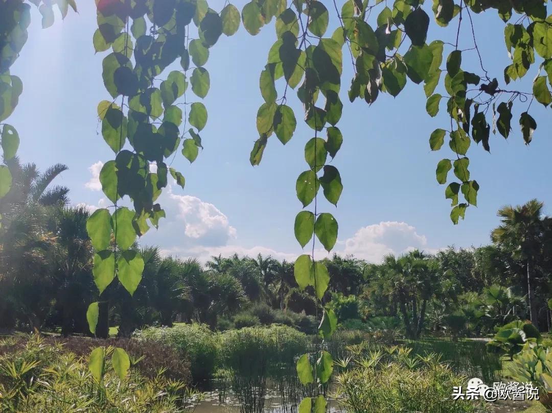 说走就走的旅行,真的适合你吗?踏入未知的旅途,你必须知道这些