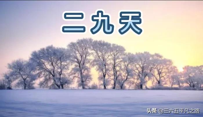 俗语“二九刮南风,来年倒春寒”啥意思?春节天气是暖还是冷?