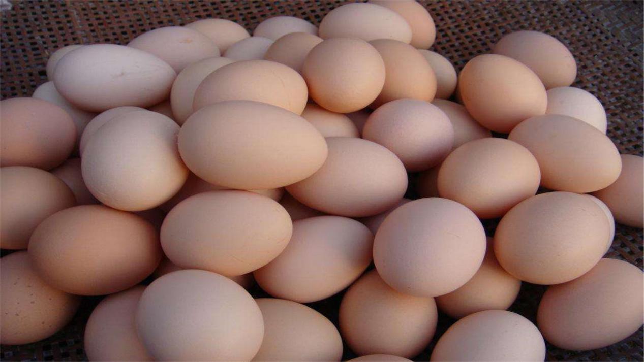 鸡蛋营养价值虽高，吃多了却会造成负担，出现5种情况的人要少吃