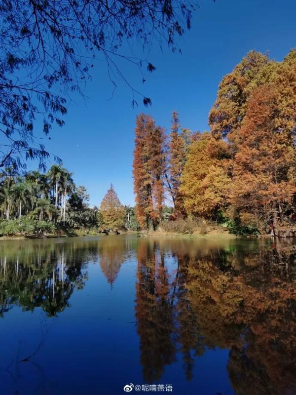 颤抖吧！湿冷天气要来了！下周最低只有5°C！