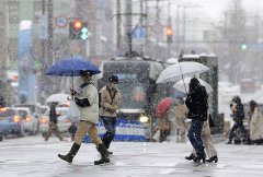 雪窝子？日本有一大窝！