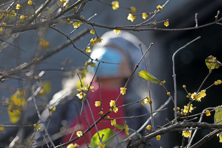 天气 | -7℃！本周两股冷空气前后脚，一股更比一股强