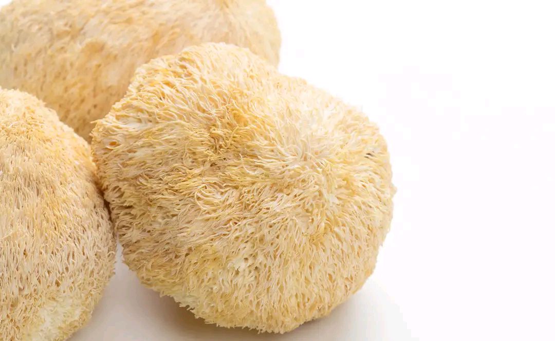 想要改善和预防幽门螺杆菌的感染,请做到6点,虽然简单但要坚持