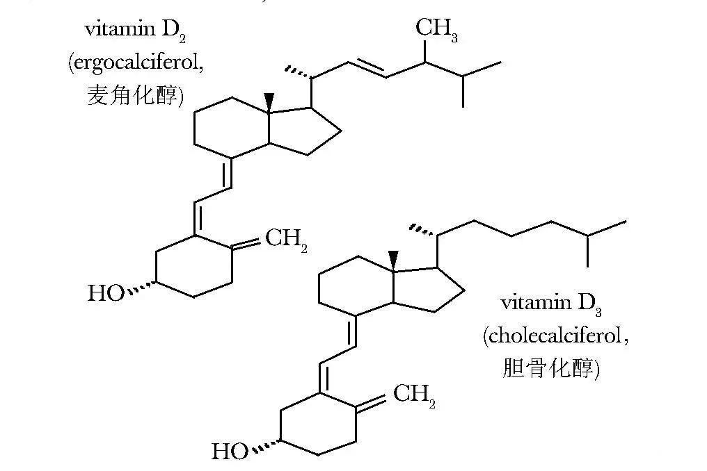 晒太阳会患皮肤癌,能不晒就不晒了?