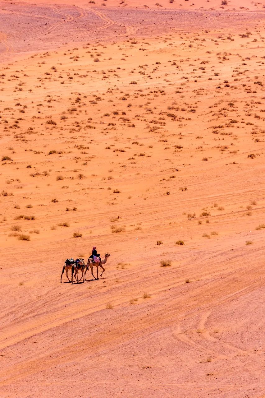 在线云游:50个国外最美的地方,去过15个就是资深旅行达人