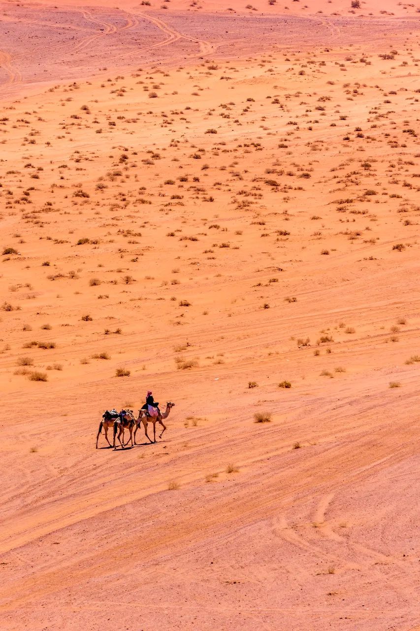 在线云游：50个国外最美的地方，去过15个就是资深旅行达人