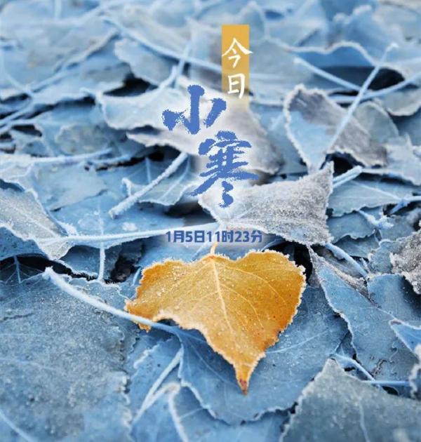 天气 | -20℃+9级大风！天津今年首个寒潮来了！