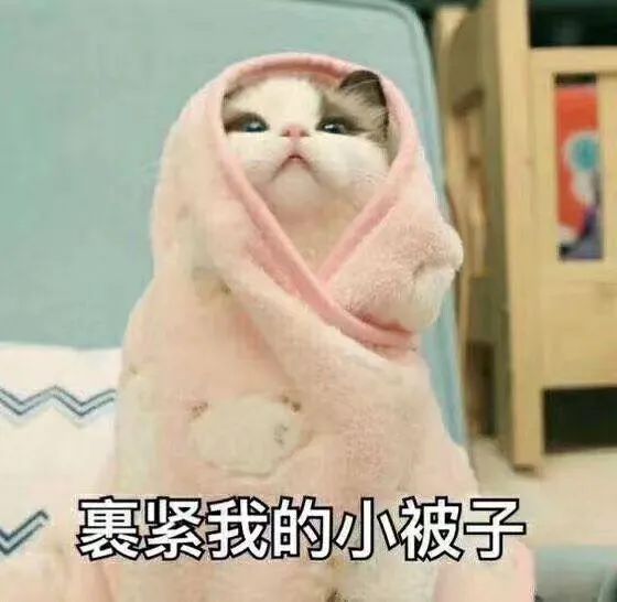 连发40条寒潮蓝色预警！跌至-11℃！河南发布重要天气预报！