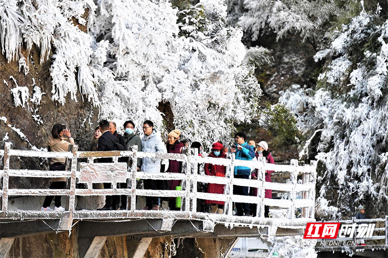 寒冷天气不降反升!宜章莽山旅游实现“开门红”
