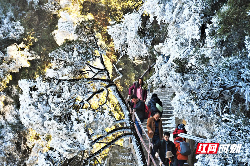 寒冷天气不降反升!宜章莽山旅游实现“开门红”