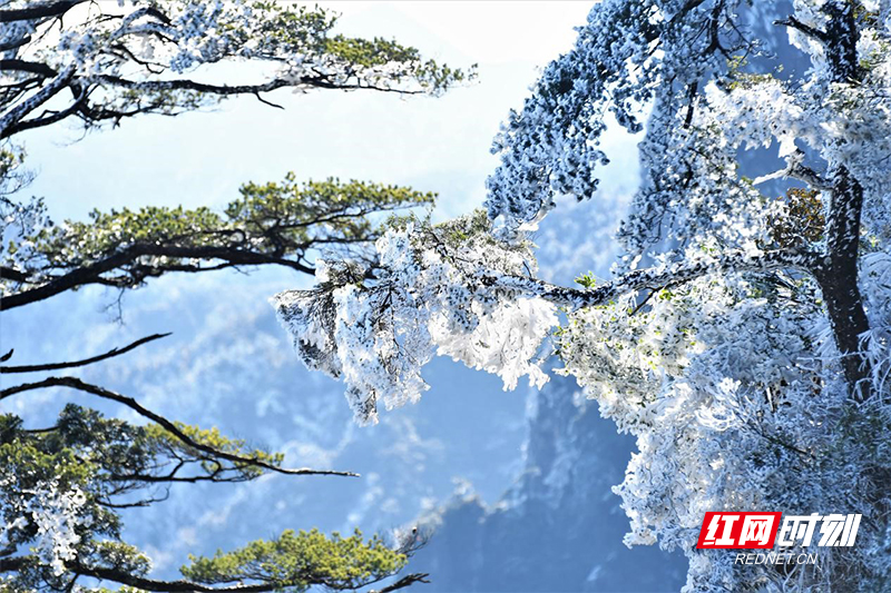 寒冷天气不降反升！宜章莽山旅游实现“开门红”