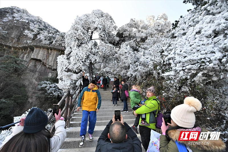 寒冷天气不降反升！宜章莽山旅游实现“开门红”