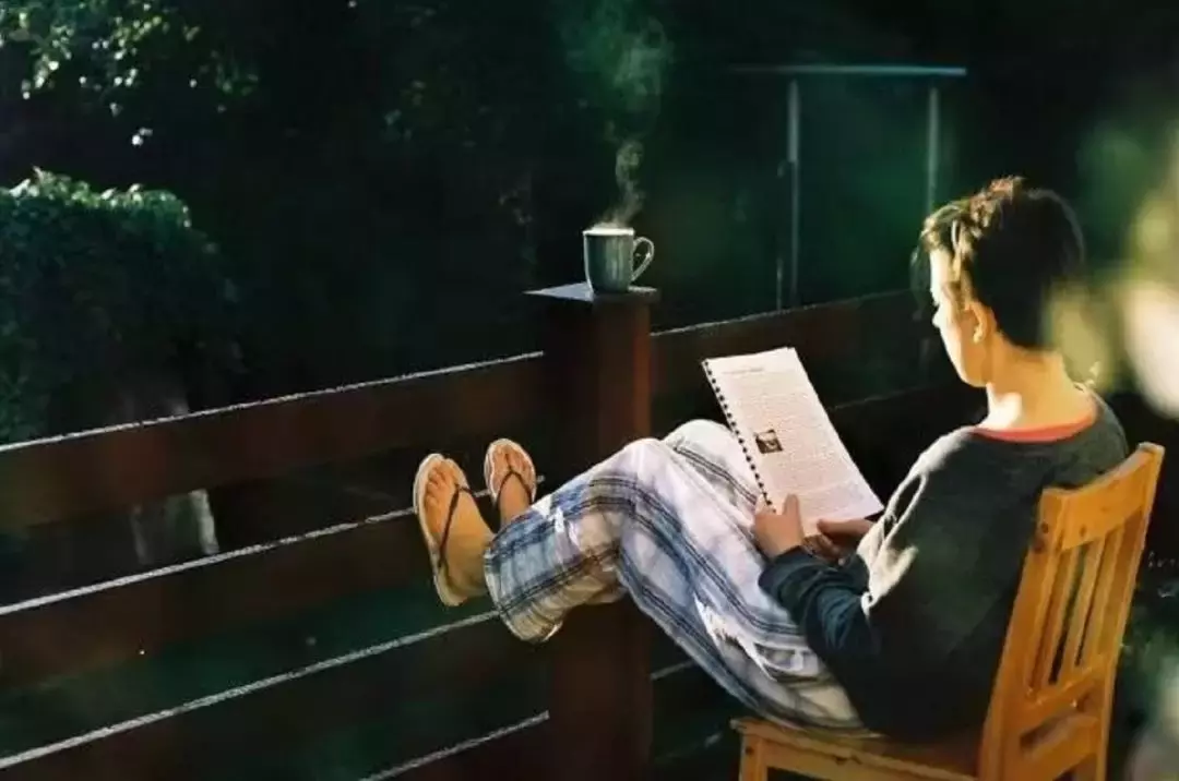 什么是文化,这是我听过最好的答案