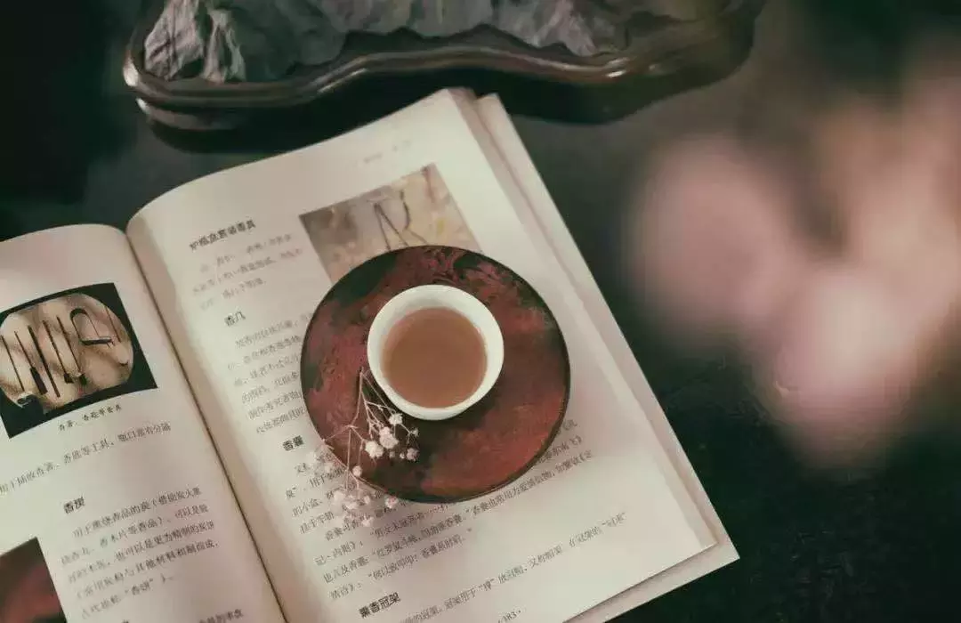 什么是文化,这是我听过最好的答案