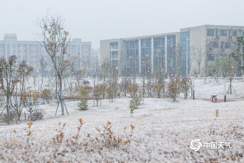 江西共青城市现明显降雪 学生顶风雪返乡