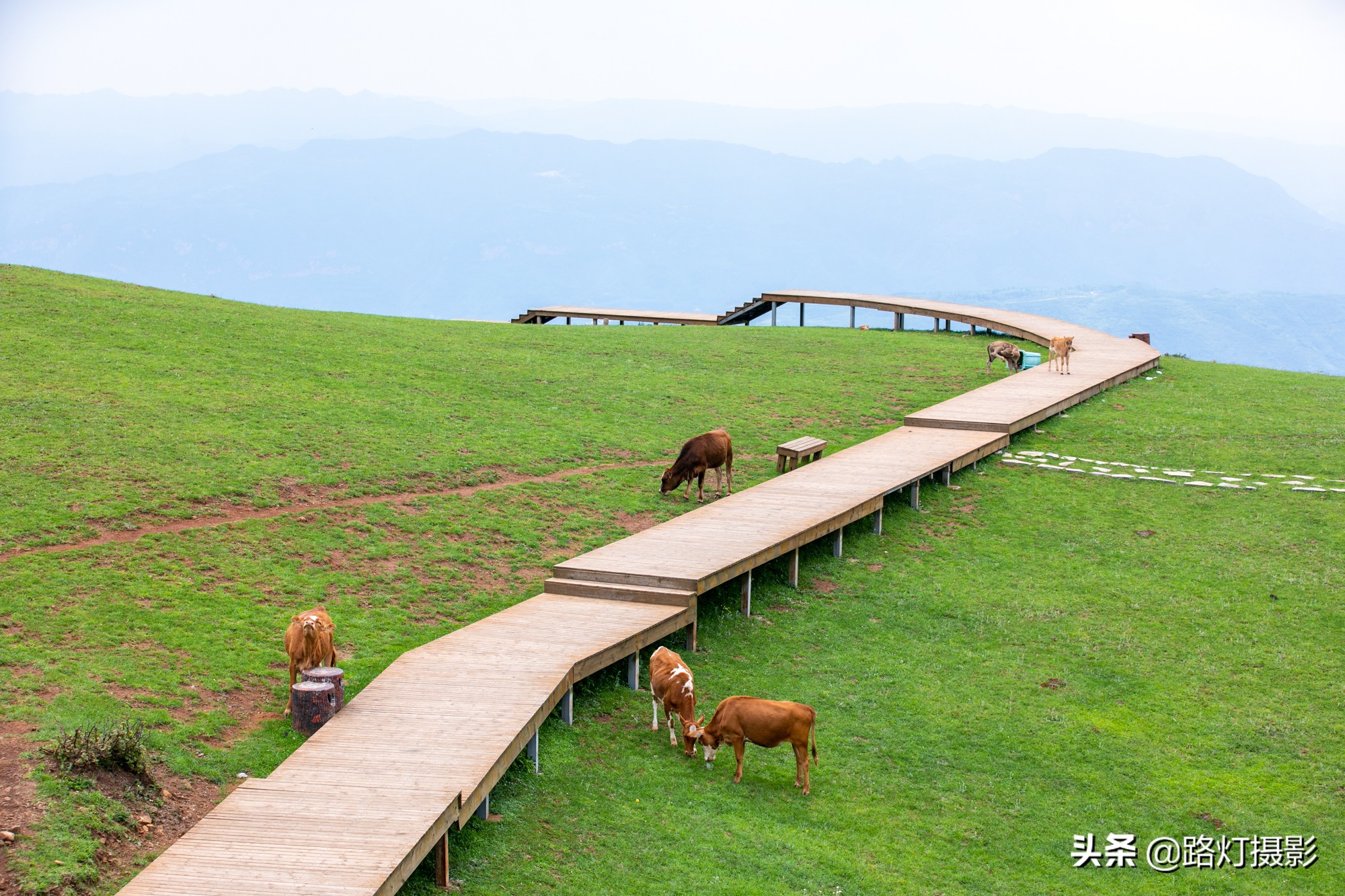 贵州6个值得一游的小众旅行地，奇山异水，古镇风情，美得不像话