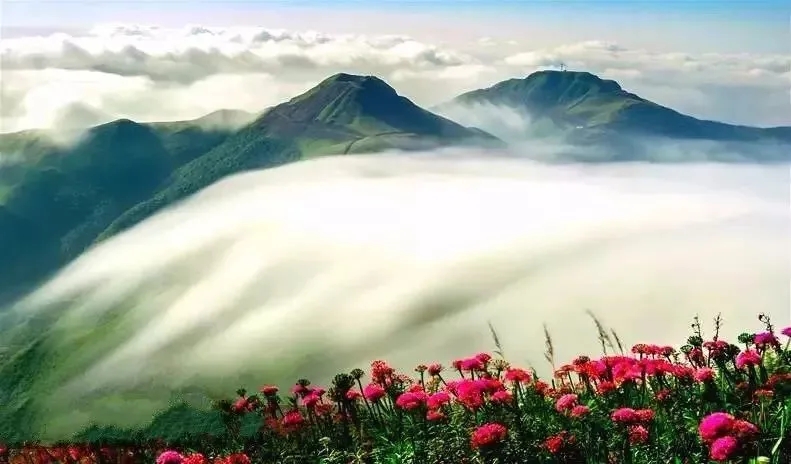 从花海到田园,从古城到山水:贵州九月最值得去的10大景区推荐