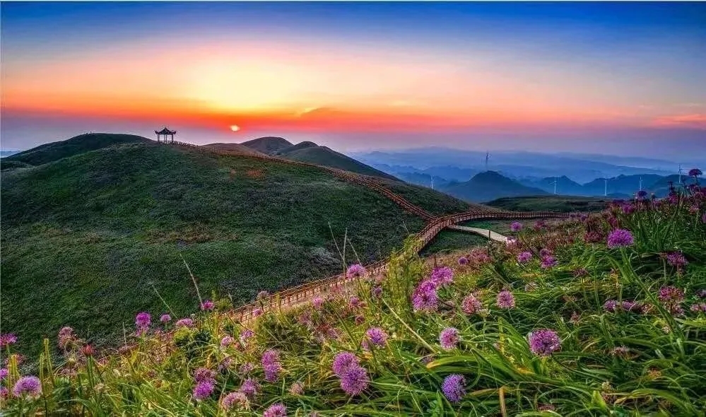 从花海到田园，从古城到山水：贵州九月最值得去的10大景区推荐