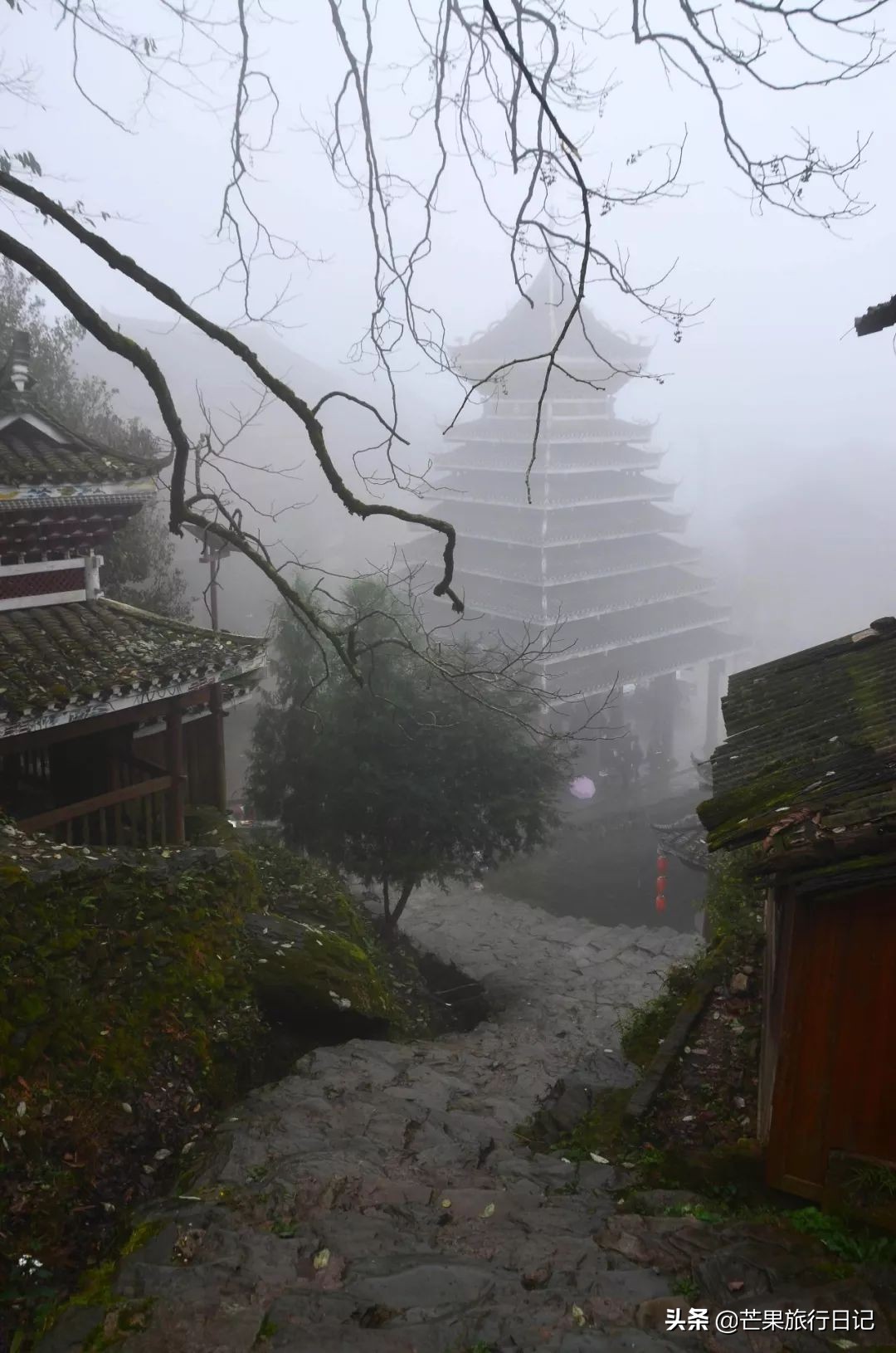 一个女孩3000元玩转贵州半个月旅行攻略,包含交通住宿吃饭明细