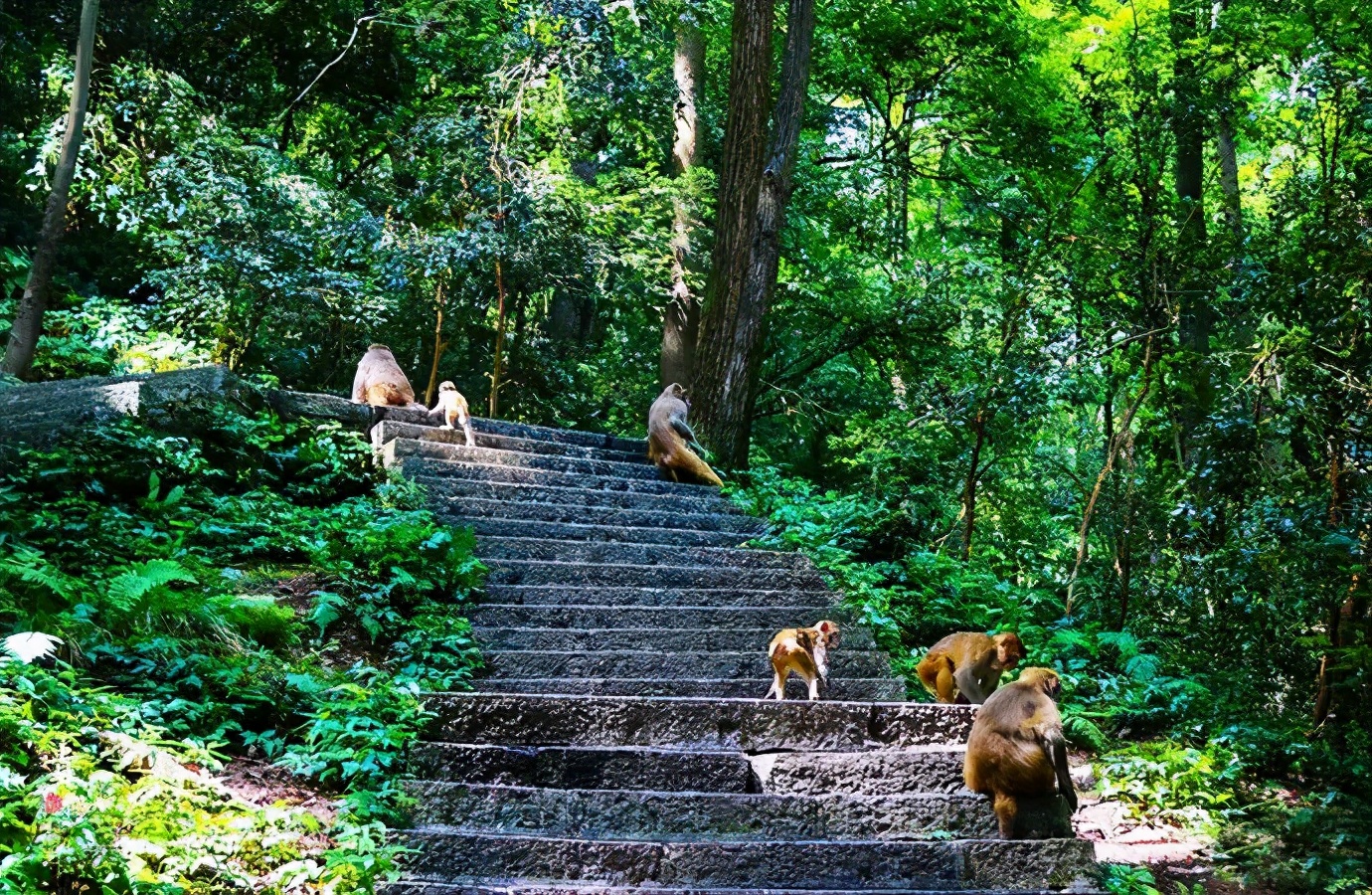 贵州旅行攻略｜来贵州最值得去的10个地方