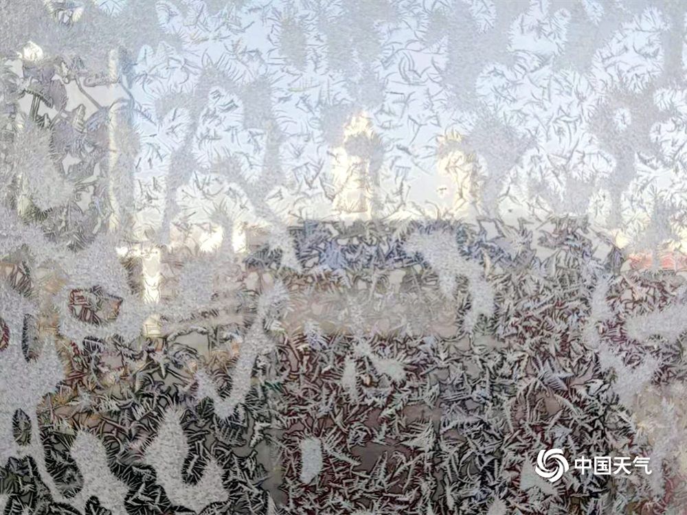 天津持续低温 冰花窗上“起舞”
