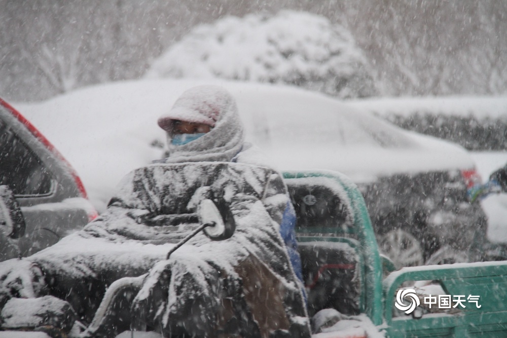 直击山东降雪现场 烟台威海天地一片白茫茫