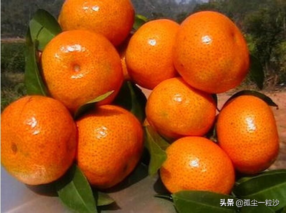 肇庆市德庆县8大推荐美食,这些地方美食值得你的品尝