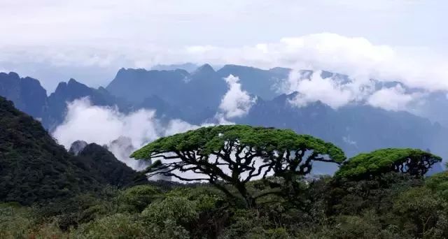 广西这20个旅游胜地，将霸占你四月所有的假期！