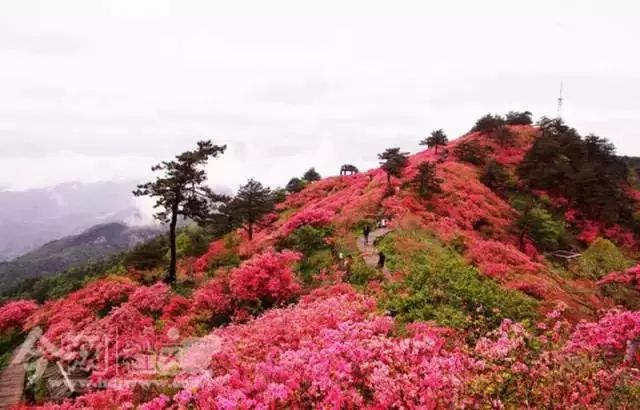 广西这20个旅游胜地，将霸占你四月所有的假期！