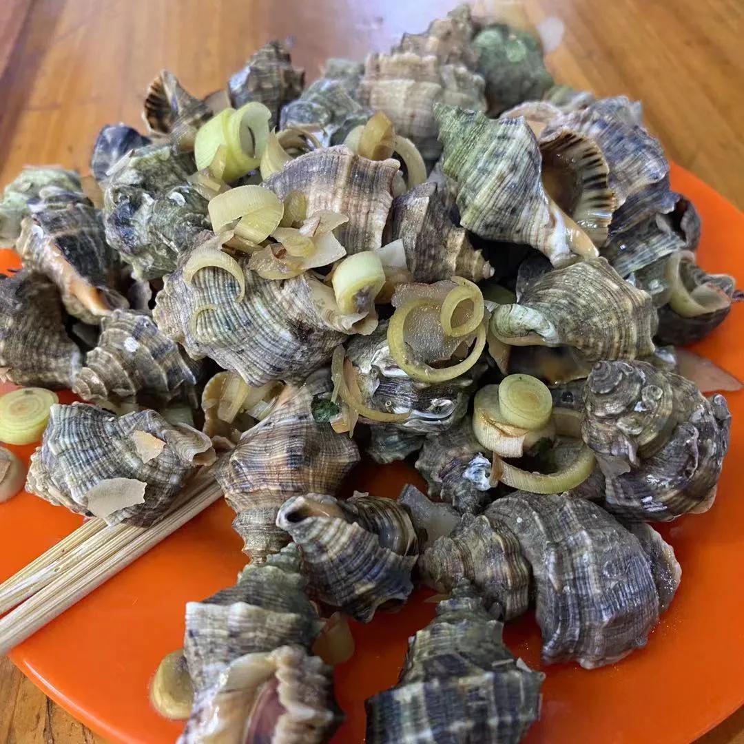 早茶、酸嘢、撩螺…玩过广西,等于同时去了广州、南宁、北海