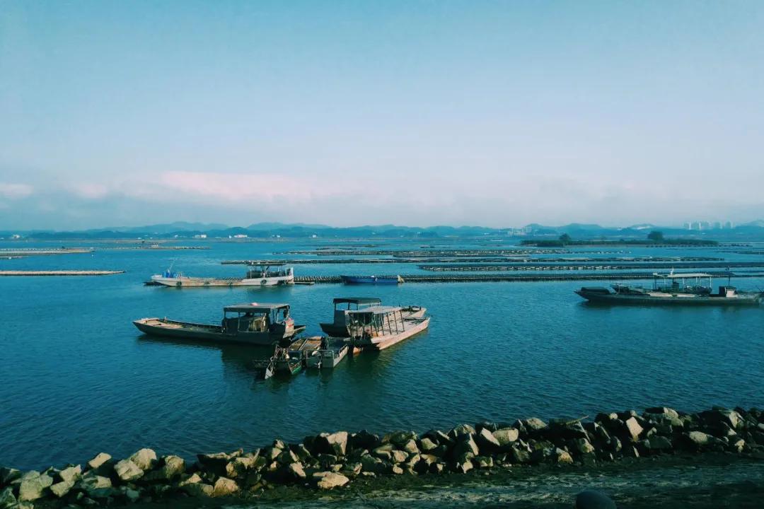 早茶、酸嘢、撩螺…玩过广西,等于同时去了广州、南宁、北海