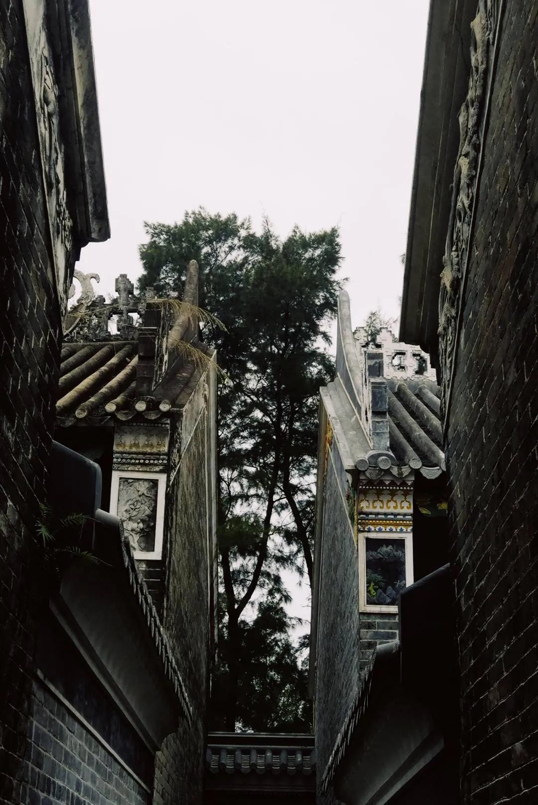 早茶、酸嘢、撩螺…玩过广西,等于同时去了广州、南宁、北海