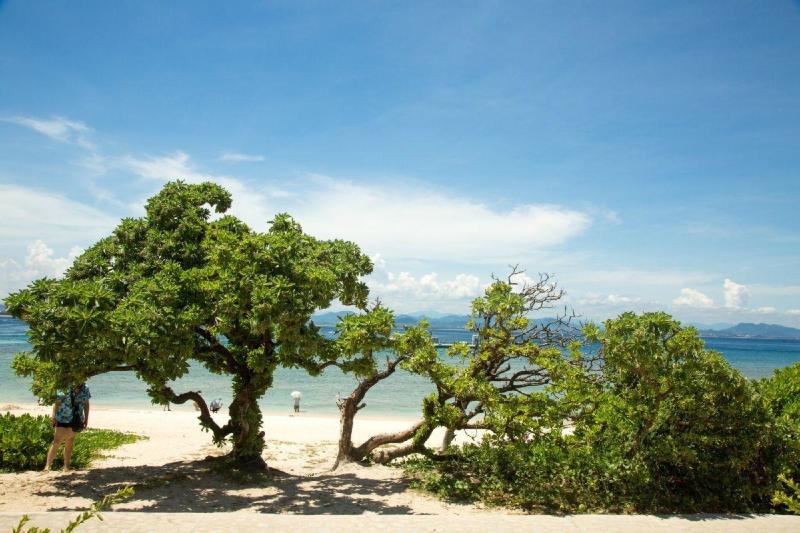 海南省20个最好玩的地方,景区景点图文介绍,山清水秀更怡人