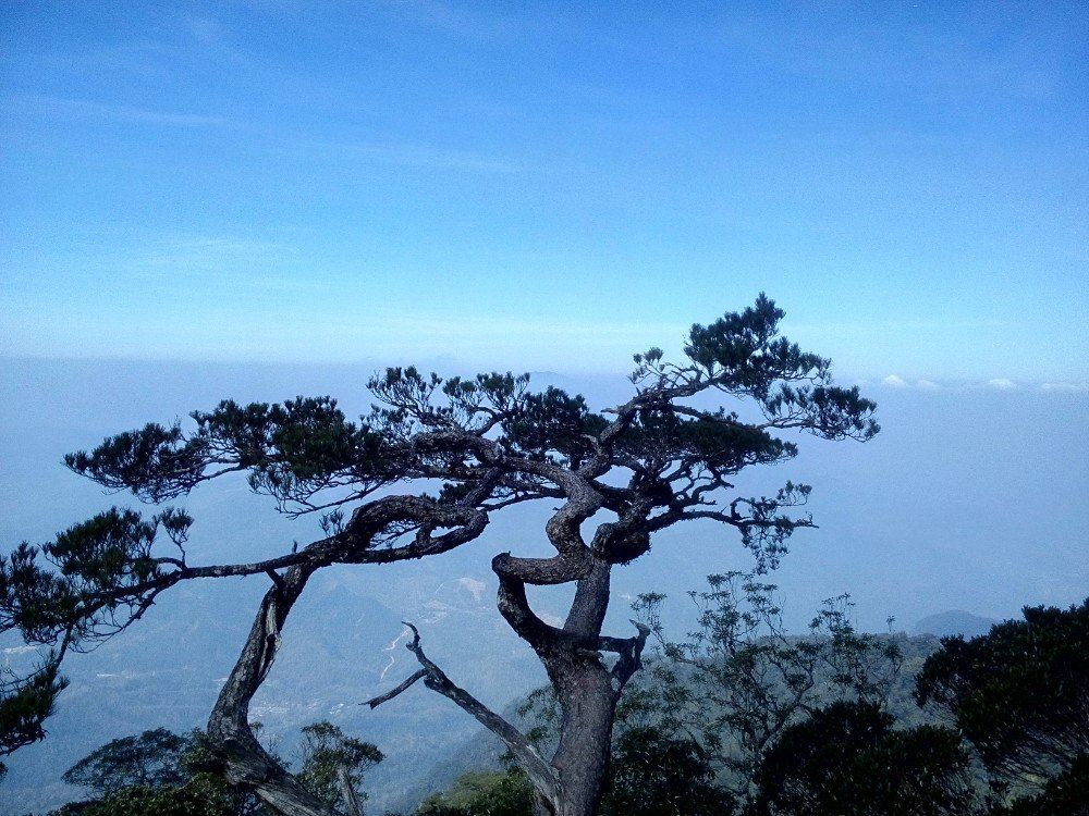 海南省20个最好玩的地方,景区景点图文介绍,山清水秀更怡人