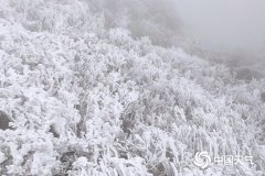 今天广东仍然是阴冷“在