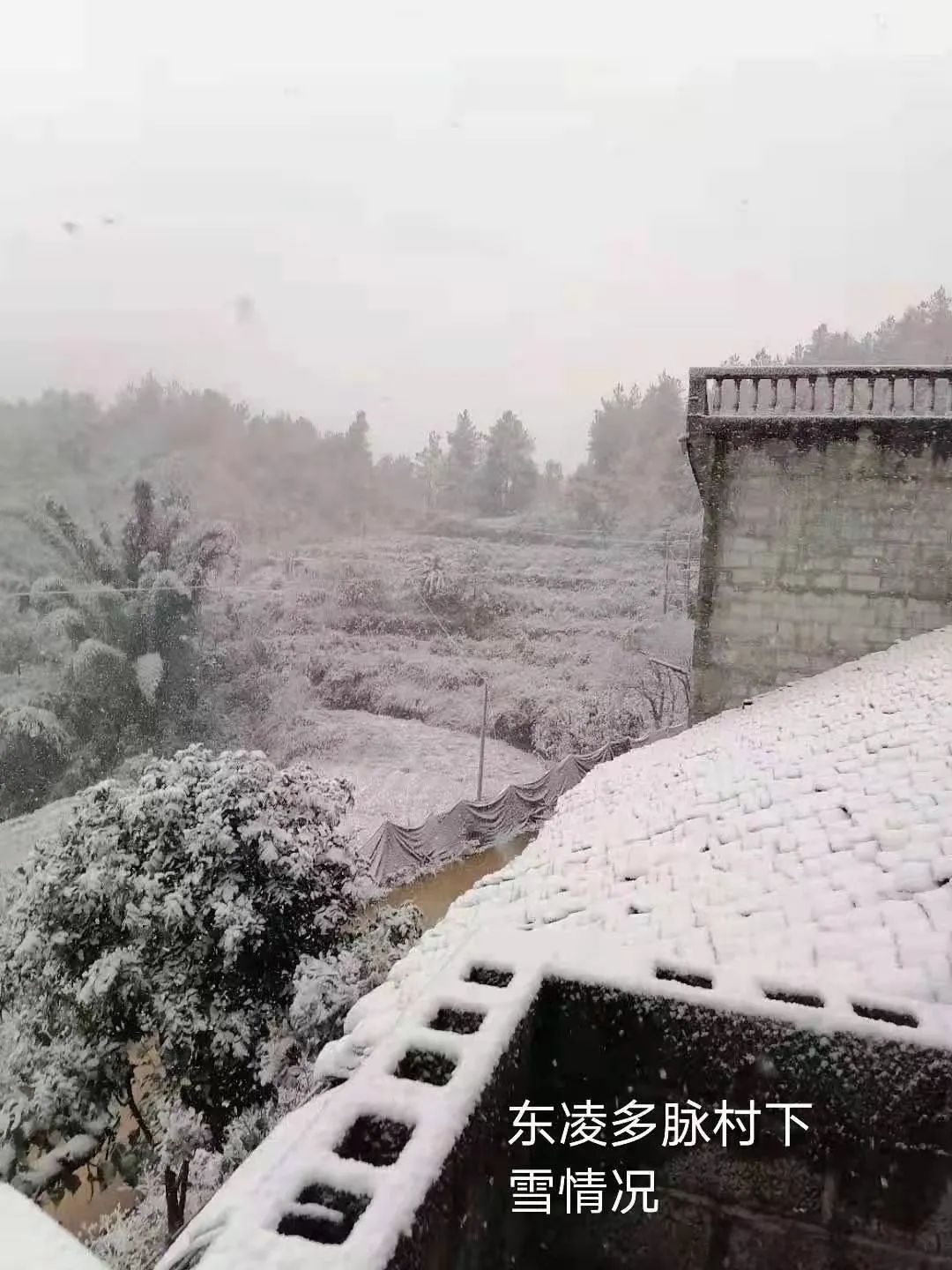 广西又下雪了!低至零下7℃,道路结冰!寒冷天气要持续到……